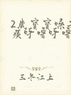 2岁宝宝嗓子有痰呼噜呼噜怎么办