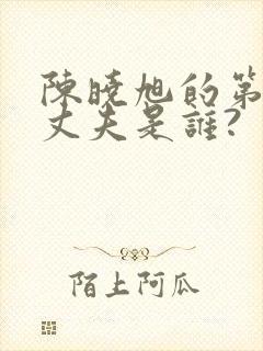 陈晓旭的第一任丈夫是谁?