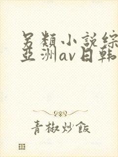 另类小说综合网亚洲av日韩av