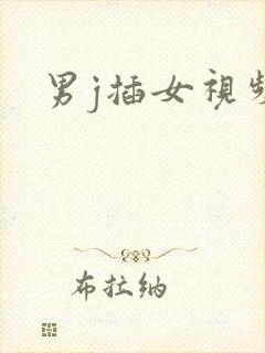 男j插女视频封面