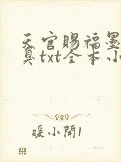 天官赐福墨香铜臭txt全本小说