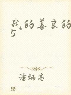 我的善良的嫂子5封面