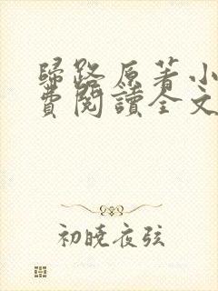 归路原著小说免费阅读全文