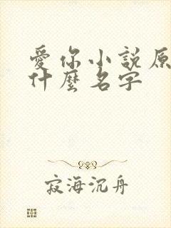 爱你小说原著叫什么名字