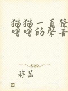 猫猫一直发出呼噜噜的声音