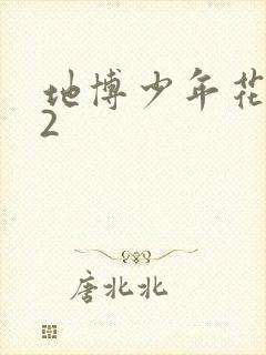 地博少年花子君2