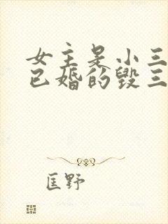 女主是小三男主已婚的毁三观小说封面