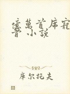 亿万首席宠妻入骨 小说