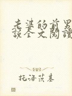 老婆的前男友小说全文阅读