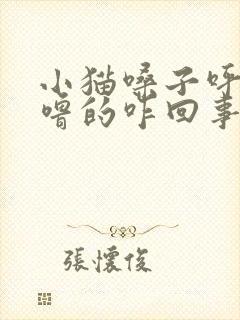 小猫嗓子呼噜呼噜的咋回事