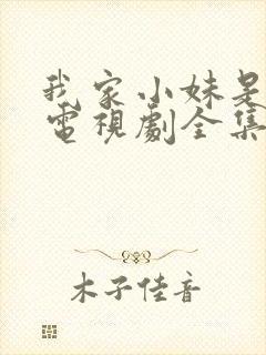 我家小妹是车神电视剧全集观看封面