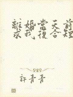 离婚当天前夫跪求我复合短剧全集封面