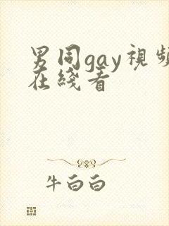 男同gay视频在线看