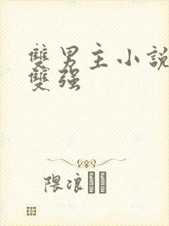 双男主小说推荐双强