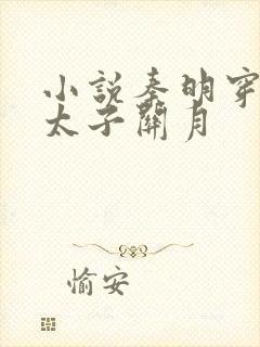 小说秦明穿越成太子关月