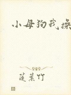 小母狗我操死你封面