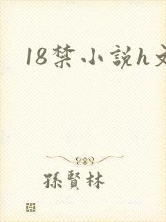 18禁小说h文