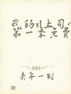 我的xl上司令第一季免费观看最新一期