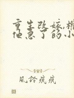 重生改嫁,权臣他急了的小说