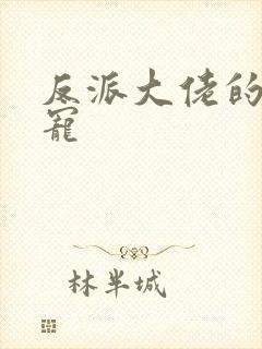 反派大佬的心尖宠