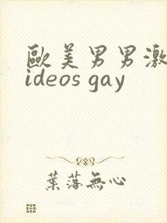 欧美男男激情videos gay封面