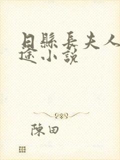 日县长夫人走仕途小说
