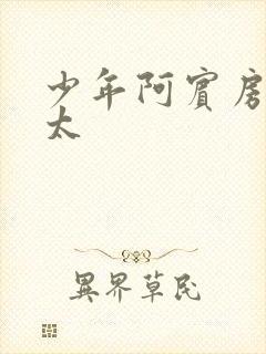 少年阿宾房东,太