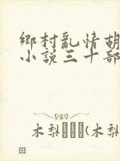 乡村乱情胡秀英小说三十部封面