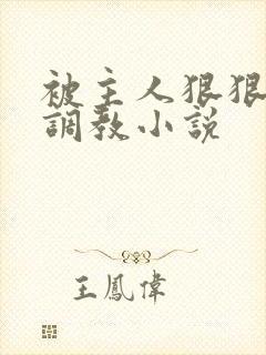 被主人狠狠惩罚调教小说