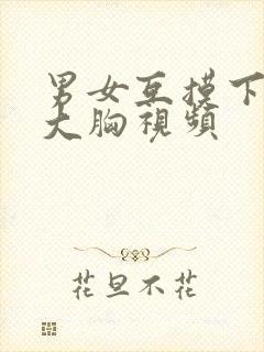 男女互摸下面揉大胸视频