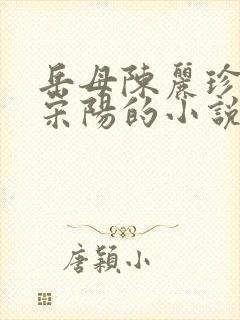 岳母陈丽珍女婿宋阳的小说免费阅读封面