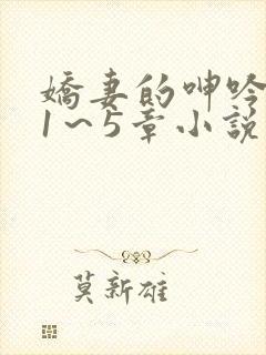 娇妻的呻吟张妍1～5章小说封面