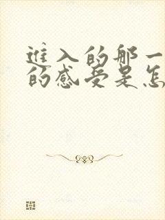 进入的那一刻你的感受是怎样