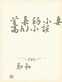 首长的小妻子(高h)小说