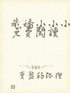 藏娇小小小邪子免费阅读