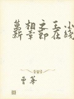 万相之王小说最新章节在线