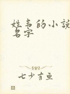 姓韦的小说女主名字封面