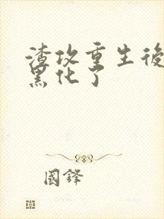 渣攻重生后老婆黑化了封面