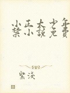 小正太少年被囚禁小说免费阅读全文