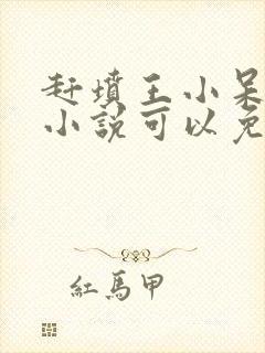 赶坟王小呆有声小说可以免费听封面