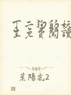 丁二狗的妖孽人生免费阅读全文封面