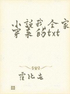 小说我全家都是穿来的txt