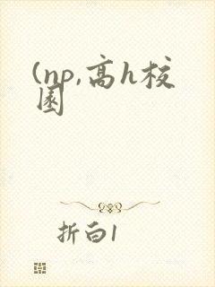 (np,高h校园封面