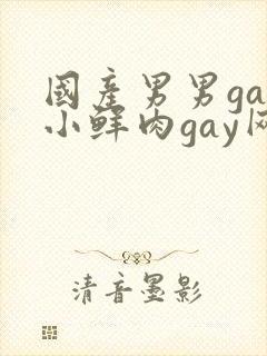 国产男男gay小鲜肉gay网站亚洲封面