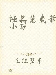 极品万岁爷全文小说