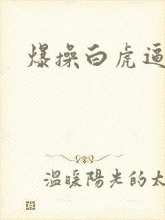 爆操白虎逼喷水