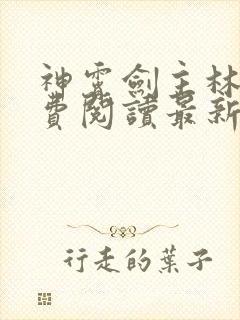 神霄剑主林枫免费阅读最新章节