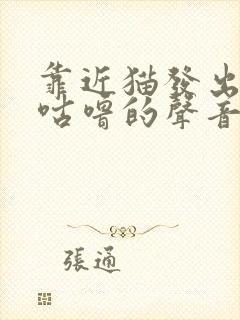 靠近猫发出咕噜咕噜的声音是为什么封面