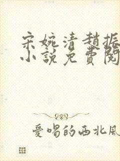 宋婉清赵振国的小说免费阅读最新章节