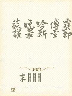 苏晚吟傅霆骁小说最新章节更新时间